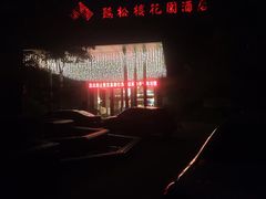 -听松楼·花园酒店·自助餐厅(红梅公园店)