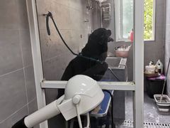 -宠福鑫康馨动物医院·骨科·眼科