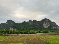 -明仕田园