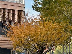 -金外滩国际广场