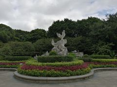 -金鸡山公园