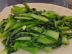 -金龙寨(龙城路店)