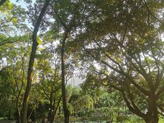 -莲花山公园