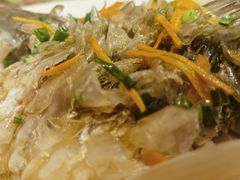 清蒸红眼鱼-悠悠美食