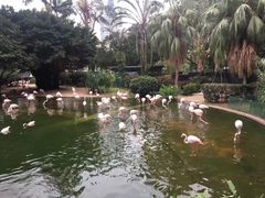 -九龙公园