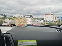 -西归浦每天偶来市场