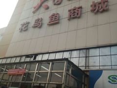 -大自然花鸟鱼虫市场