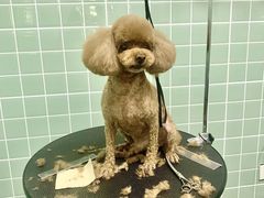 -哈尼爱宠·宠物生活会馆