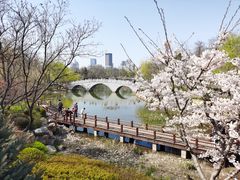 -大连植物园