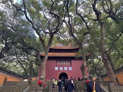 -普陀山风景名胜区-法雨禅寺