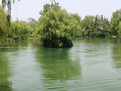 -济南大明湖景区