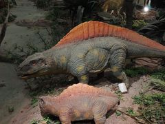 -湖南省地质博物馆