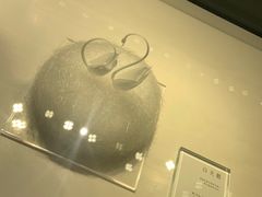 -BLACKSWAN黑天鹅(环球店)