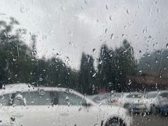 -武陵山森林公园