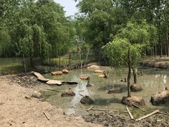 -溱湖国家湿地公园