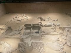 -洛阳周王城天子驾六博物馆