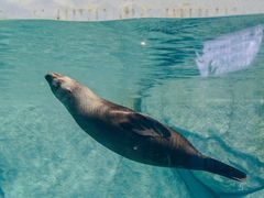 -福州罗源湾海洋世界旅游区