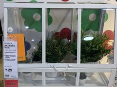 -宜家家居(高新商场店)