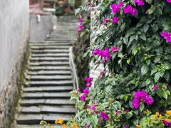 -福建土楼(南靖)景区