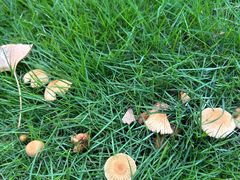 -重庆市江北嘴中央商务区中央公园