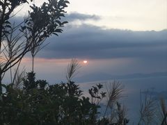 -梧桐山风景名胜区