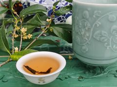 -龙坞茶村