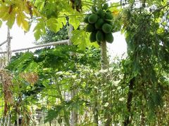 android_upload_pic-海鸥岛