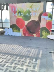 -鲸舞气球派对·宝宝宴·十岁生日布置·轻奢品牌形象店