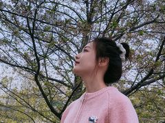 -武汉大学校门牌坊
