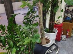 -张钰强中医正骨推拿连锁(唐家人才公寓店)
