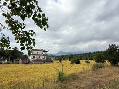 -塔川景区