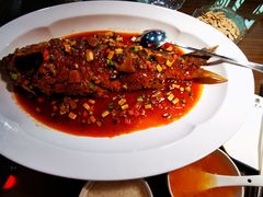 -秦月轩·长安小馆·新陕菜(阜成路·五棵松店)