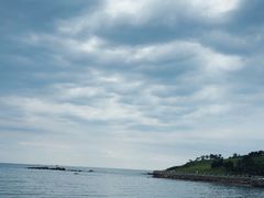 -小麦岛公园