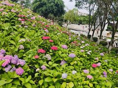 -成都中医药大学(温江校区)