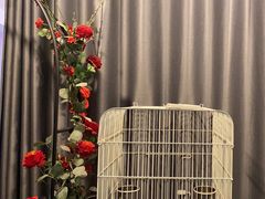 -JOJO实景沉浸侦探剧本杀(大悦城店)