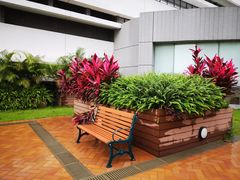 -香港大学