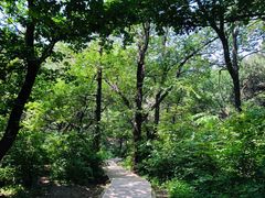 -棋盘山风景区