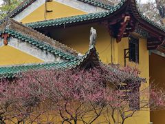 -南华寺素食馆(南华禅寺店)