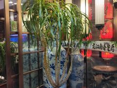 -老江南春·中国龙菜(衡山路店)
