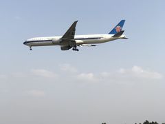 -空港花田景区