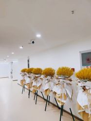 -成都西区医院整形美容