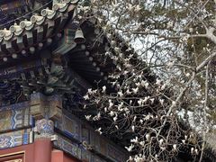 -潭柘寺景区