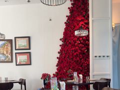 -22ºN BISTRO西餐&酒馆