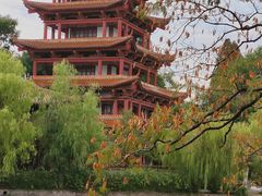 -荆州中山公园动物园