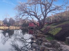 -冶父山国家森林公园