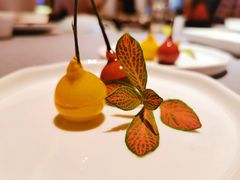 金桔樱桃鹅肝-金鸭季·北京烤鸭(深业上城店)