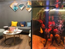 -妙睫屋日式美甲美睫