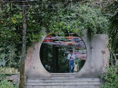 -广西壮族自治区药用植物园