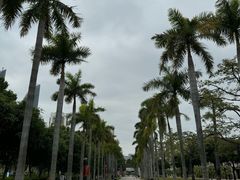 -厦门大学(思明校区)