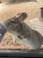 -酷嗒动物文化乐园(cutezoo西溪乐天城店)